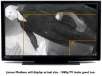 Olevia 65" 1080p LCD HDTV - 265TFHD